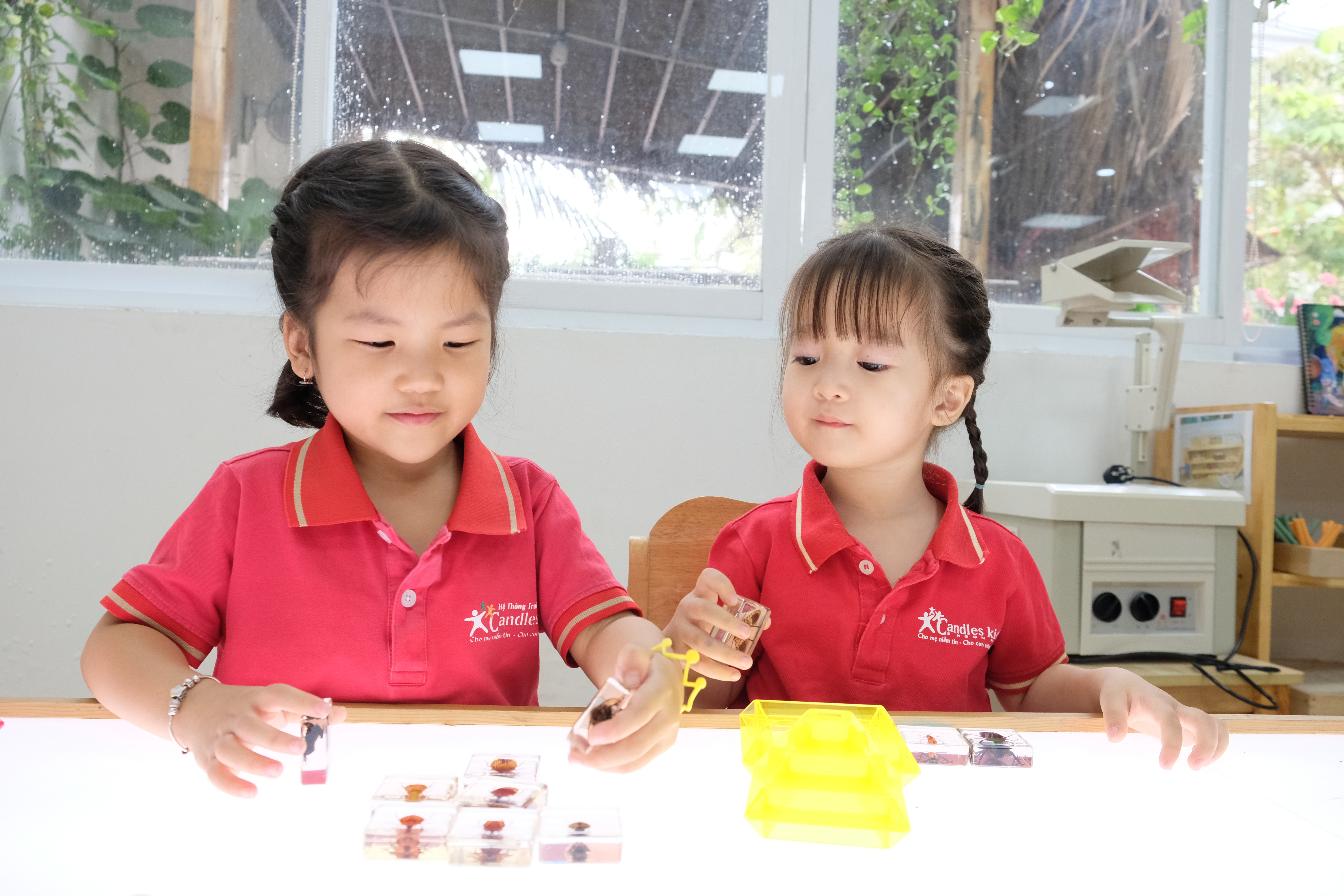 C&aacute;c b&eacute; học sinh tại Trường Mầm non Candles Kids